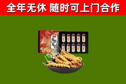 安庆市回收冬虫夏草价格